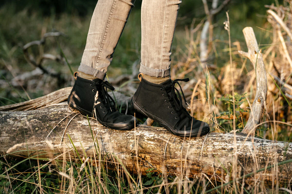 Canva ash - Image 3