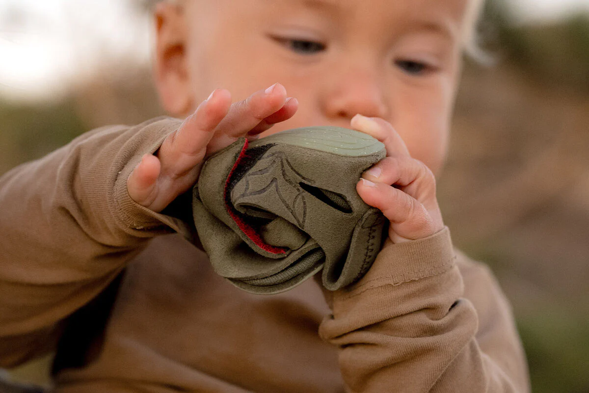Feder wald - Image 2