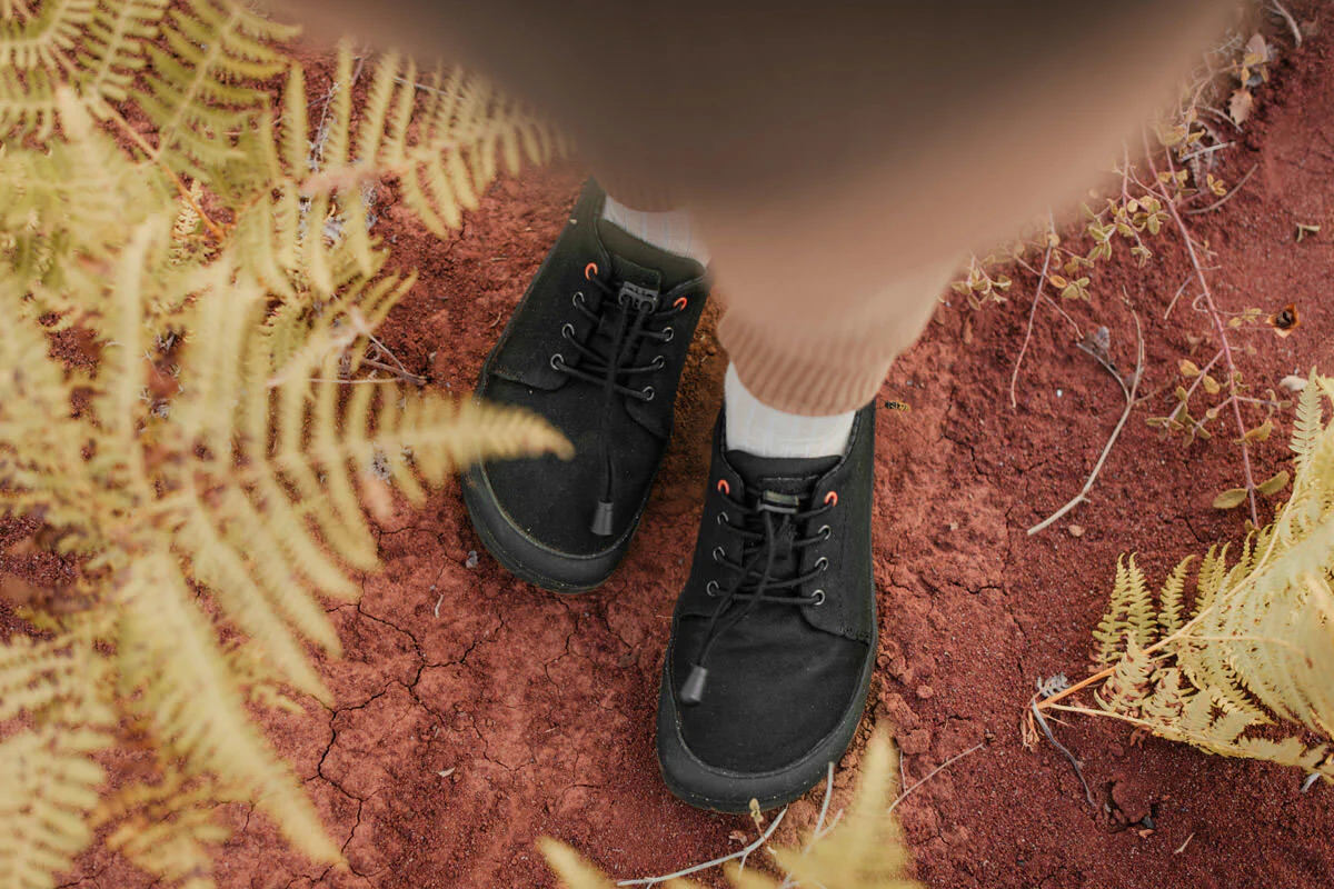 Fundois - Image 2