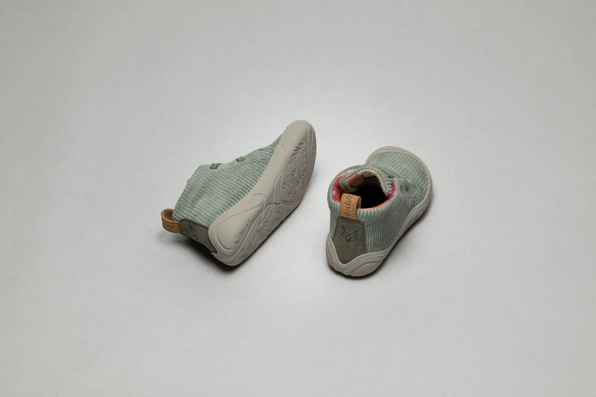 Kordian sage - Image 5
