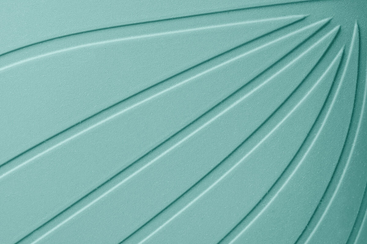 Ranidae mint - Image 4