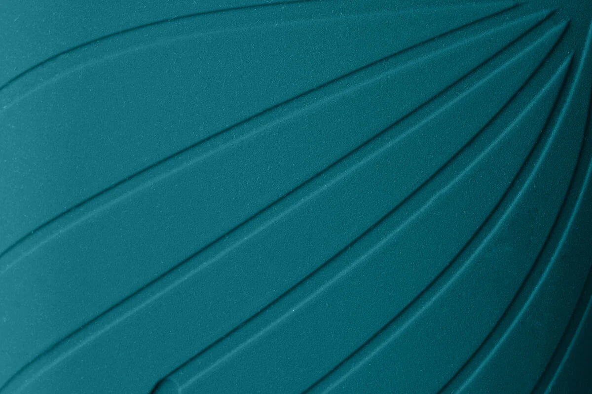 Ranidae ocean - Image 4