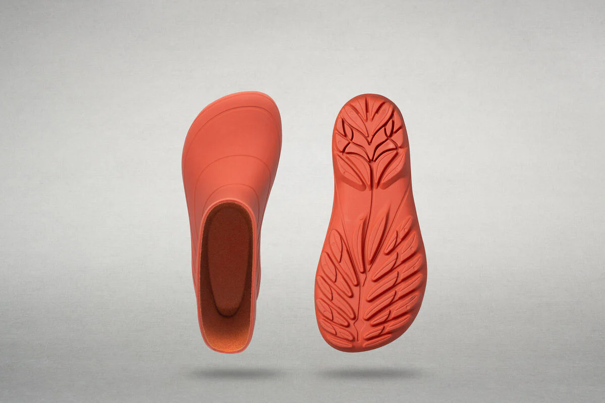 Ranidae orange - Image 6