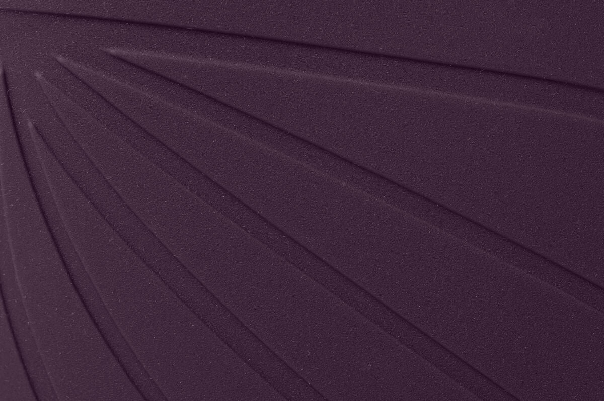 Ranidae plum - Image 4