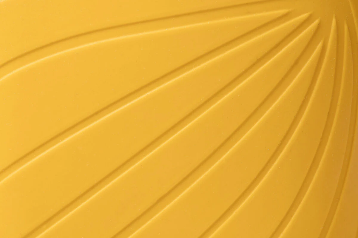 Ranidae yellow - Image 4