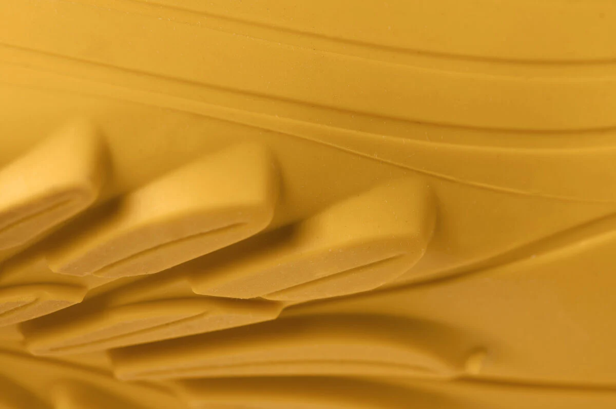 Ranidae yellow - Image 7