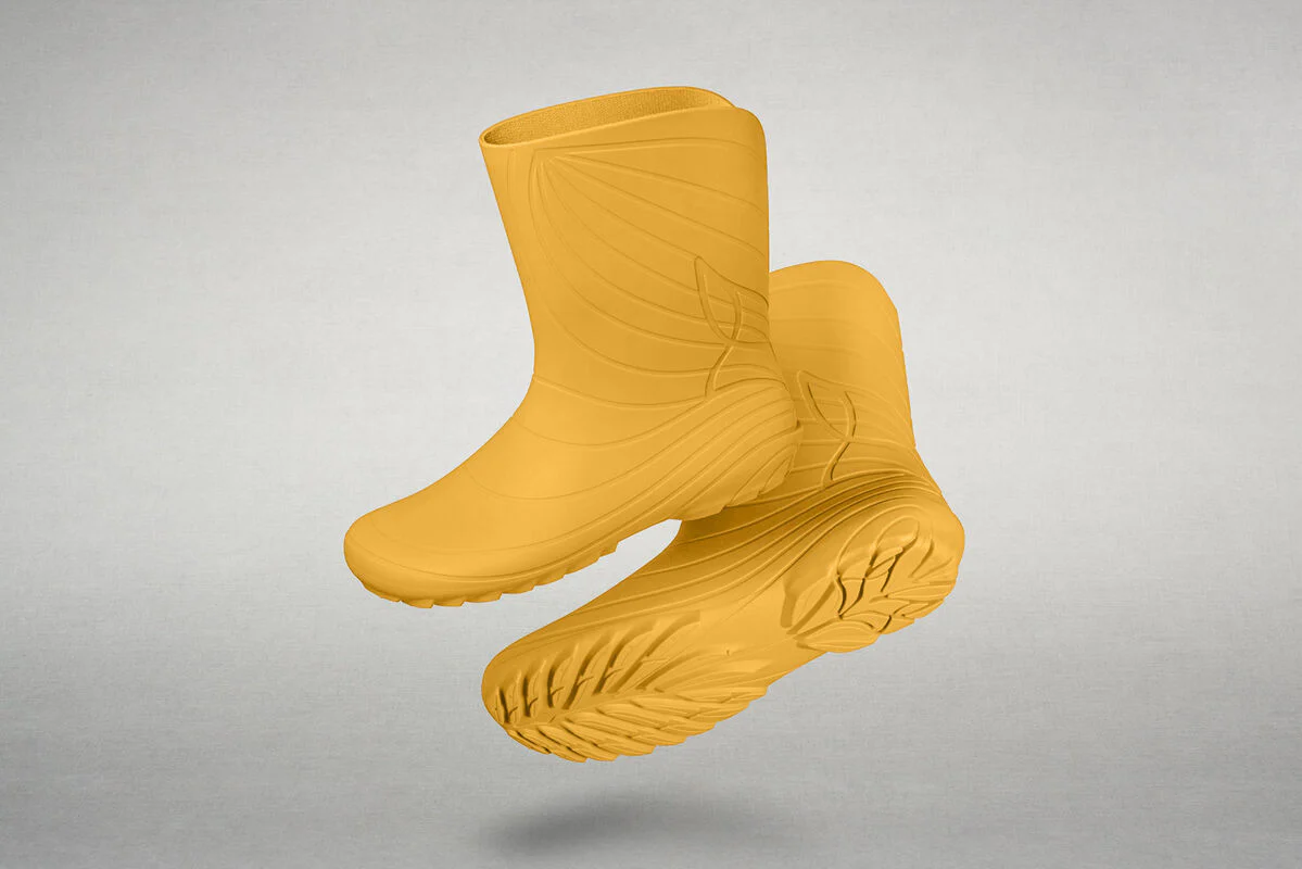 Ranidae yellow