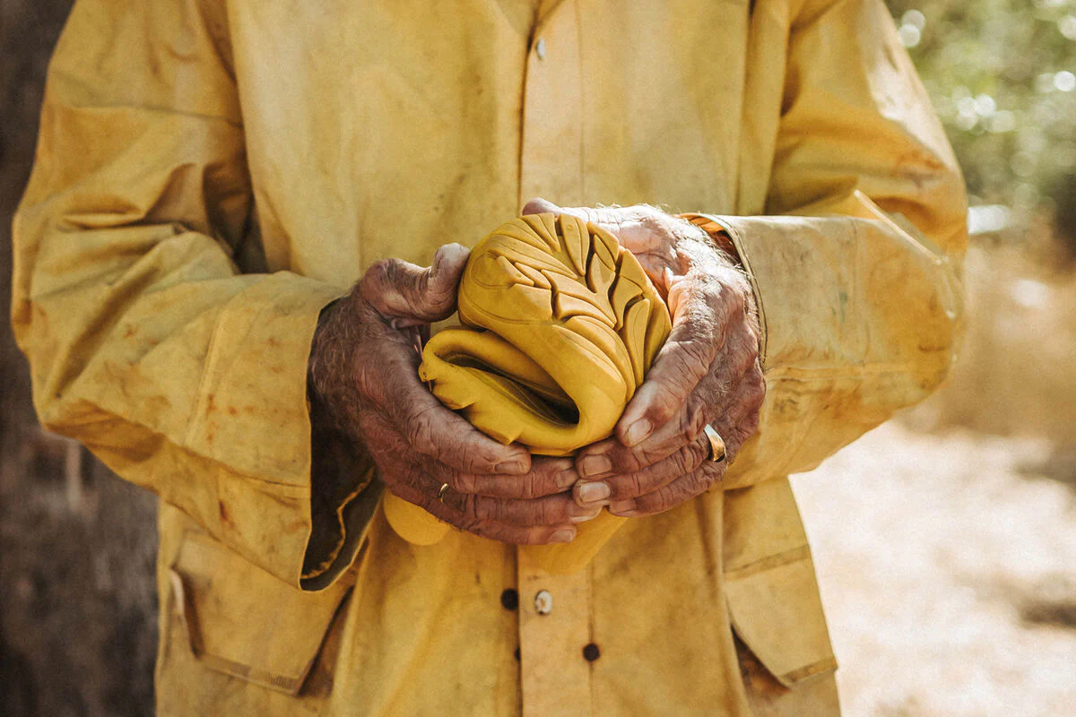 Ranidae yellow - Image 2