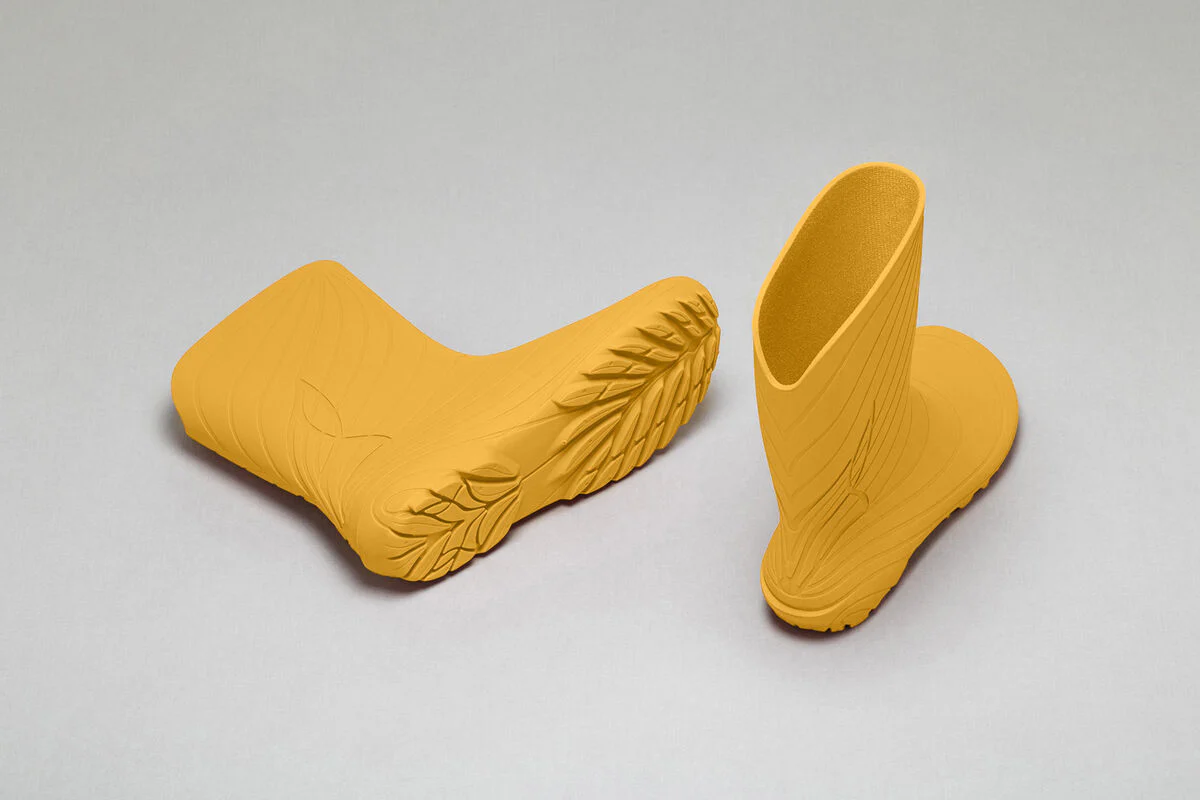 Ranidae yellow - Image 5
