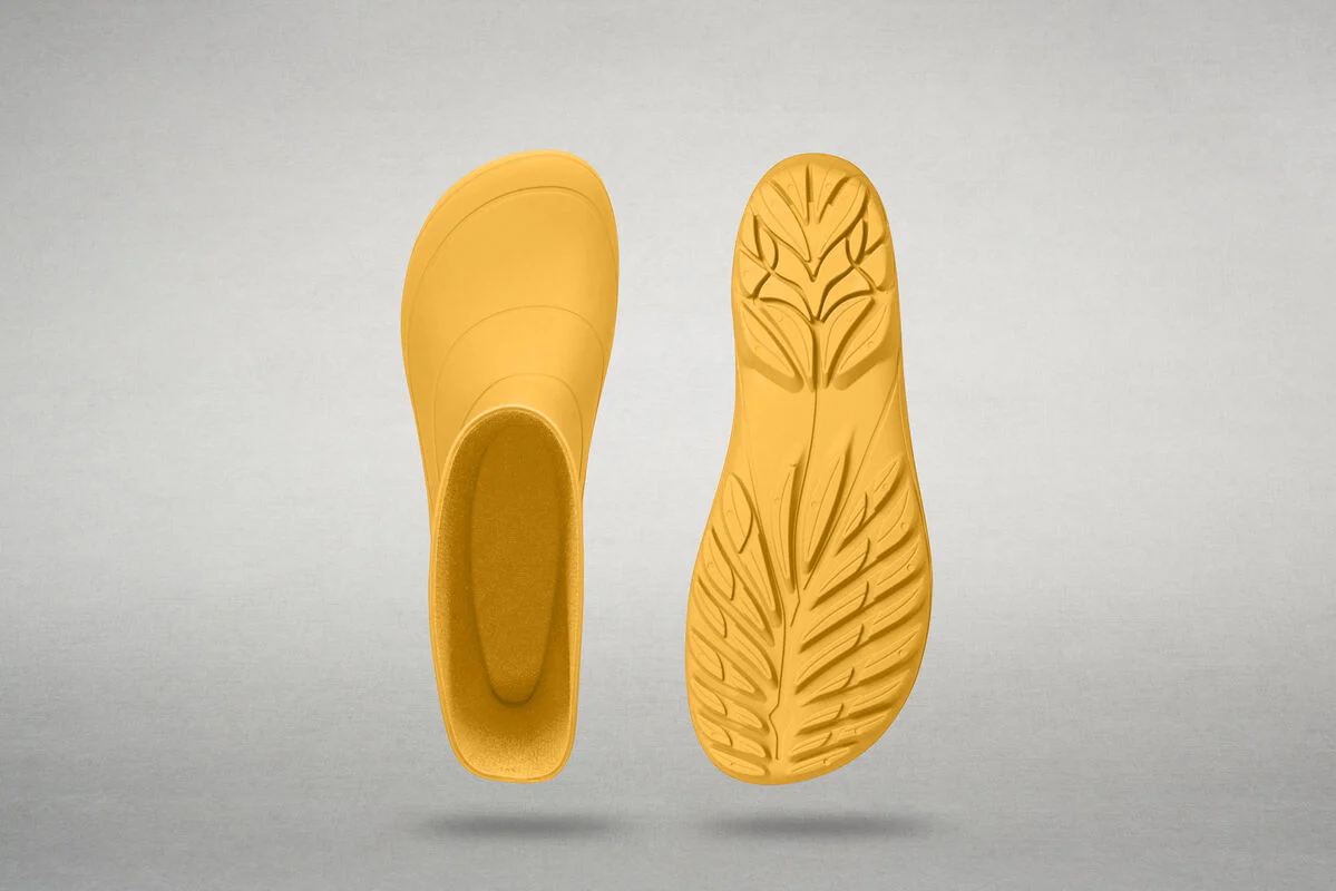 Ranidae yellow - Image 6